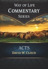 Acts Commentary
