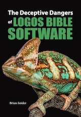 Deceptive Dangers of Logos