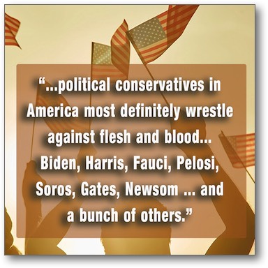 Politcal conservatives wrestle..