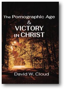 Book: Pornographic Age and Victory in Christ
