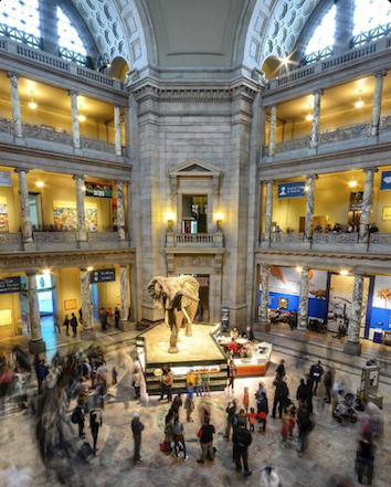 Smithsonian Museum, Washington, D.C.