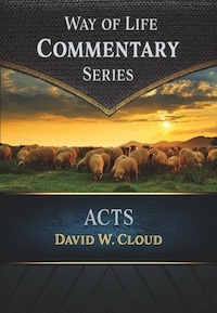 Cover of Acts Commentary