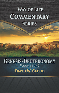 Genesis to Deuteronomy Commentary