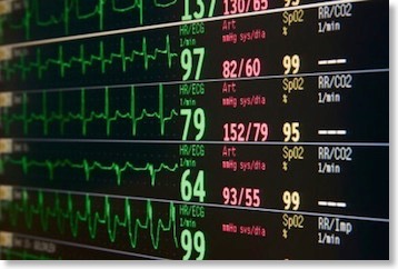 Do We Have the Right to Die?