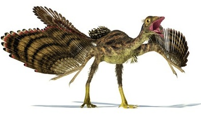 zz_archaeopteryx