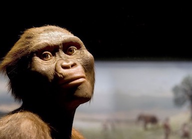 Lying Evolutionary Art, Lucy, The Cute Little Ape-Woman
