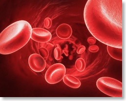 Red Blood Cells