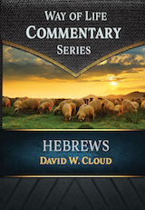 Hewbrews Commentary