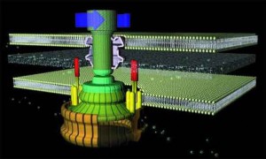 Illustraton of Flagellum Motor