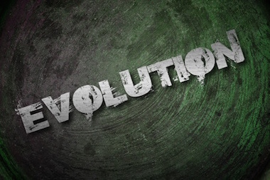 The History of Darwinian Evolution