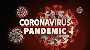 Coronavirus Pandemic