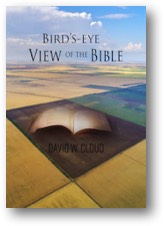Birds-eye View